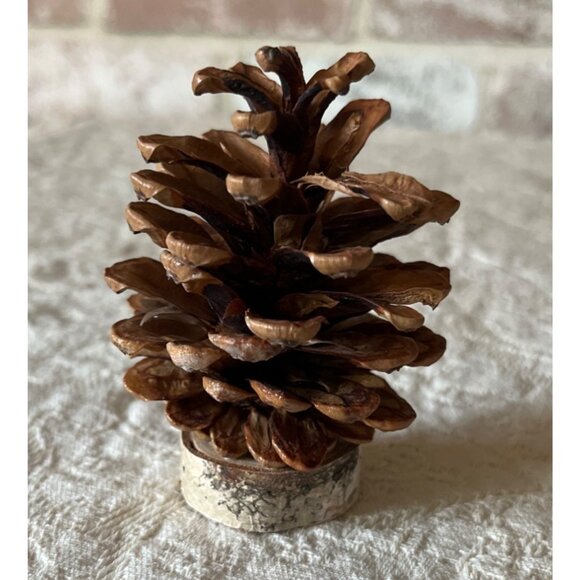 Pinecone & Birch Place Card Holders - Set Of 10 Natural Rustic Table Decor - Picture 2 of 11